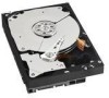 Get support for Western Digital WD1002FBYS - RE3 1 TB Hard Drive