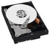 Troubleshooting, manuals and help for Western Digital WD10EVDS - AV-GP 1 TB Hard Drive