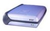 Troubleshooting, manuals and help for Western Digital WD1200B02RNN - FireWire Hard Drive 120 GB External