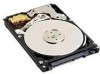 Troubleshooting, manuals and help for Western Digital WD1600BEVSRTL - Scorpio 160 GB Hard Drive