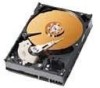 Get support for Western Digital WD2500BB - Caviar 250 GB Hard Drive