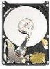 Troubleshooting, manuals and help for Western Digital WD2500BEVERTL - Scorpio 250 GB Hard Drive