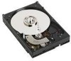 Get support for Western Digital WD2500YS - RE 250 GB Hard Drive