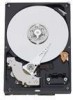 Get support for Western Digital WD3202ABYS - RE3 320 GB Hard Drive