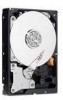 Troubleshooting, manuals and help for Western Digital WD5000AADS - Caviar 500 GB Hard Drive
