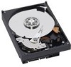 Get support for Western Digital WD5000AAKS - Caviar 500 GB Hard Drive