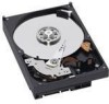 Troubleshooting, manuals and help for Western Digital WD5000AVJS - AV 500 GB Hard Drive