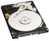 Troubleshooting, manuals and help for Western Digital WD5000BEVT - Scorpio 500 GB Hard Drive