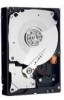 Get support for Western Digital WD5001AALS - Caviar 500 GB Hard Drive