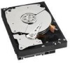 Get support for Western Digital WD7502ABYS - RE3 750 GB Hard Drive