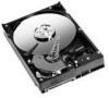Troubleshooting, manuals and help for Western Digital WD800AAJS - Caviar 80 GB Hard Drive