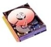 Troubleshooting, manuals and help for Western Digital WD800JDDTL - WD800JD Caviar SE 80GB SATA-150 Hard Drive