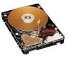Troubleshooting, manuals and help for Western Digital WD84AA - Caviar 8.4 GB Hard Drive