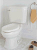 Troubleshooting, manuals and help for American Standard 3153.016.020 - 3153.016.020 Oakmont Champion Elongated Seat Less Toilet Bowl