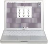 Troubleshooting, manuals and help for Apple M8599LL - iBook Laptop