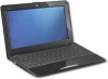 Troubleshooting, manuals and help for Asus 1005HAB-blk001X - EEEPC - 10.1 Inch Seashell Netbook,Atom,160GB
