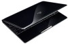 Get support for Asus 1008HA-PU1X-BK