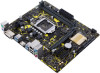 Get support for Asus B250M-PIXIU