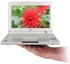 Get support for Asus EEEPC900A-WFBB01 - Eee Pc 900A Pearl