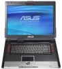 Asus G2P New Review