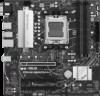Troubleshooting, manuals and help for Asus PRIME B650M-A II