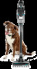 Bissell ICONpet Cordless Vacuum 22889 Support Question