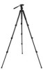 Troubleshooting, manuals and help for Celestron Regal Premium Tripod