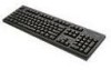 Troubleshooting, manuals and help for Compaq 166514-001 - Space Saver Wired Keyboard