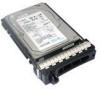 Troubleshooting, manuals and help for Dell 2X564 - 146 GB Hard Drive