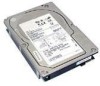 Troubleshooting, manuals and help for Dell 340-7897 - 73.4 GB Hard Drive