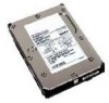 Troubleshooting, manuals and help for Dell 341-0305 - 36.7 GB Hard Drive