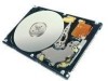 Troubleshooting, manuals and help for Dell 341-2185 - 100 GB Hard Drive