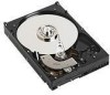 Troubleshooting, manuals and help for Dell 341-2271 - 160 GB Hard Drive