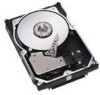 Troubleshooting, manuals and help for Dell 341-4826 - 300 GB Hard Drive