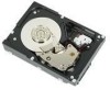 Troubleshooting, manuals and help for Dell 341-7440 - 73 GB Hard Drive