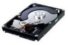Get support for Dell C118D - 640 GB Hard Drive