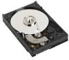 Troubleshooting, manuals and help for Dell 341-6681 - 250 GB Hard Drive