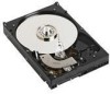 Troubleshooting, manuals and help for Dell K017C - 250 GB Hard Drive