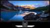 Dell U3818DW New Review