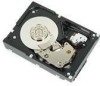 Troubleshooting, manuals and help for Dell 341-8291 - 450 GB Hard Drive