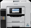Troubleshooting, manuals and help for Epson WorkForce Pro ST-C5500