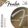 Get support for Fender 80