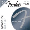 Get support for Fender Classical
