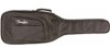 Troubleshooting, manuals and help for Fender Fender Urban Short Scale Gig Bag