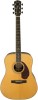 Get support for Fender PM-1 Deluxe Dreadnought Natural