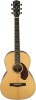 Get support for Fender PM-2 Deluxe Parlor Natural