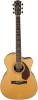 Get support for Fender PM-3 Deluxe Triple-0 Natural