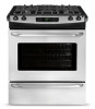 Troubleshooting, manuals and help for Frigidaire FFGS3025PS