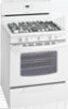 Get support for Frigidaire FGF348KS