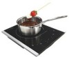 Troubleshooting, manuals and help for Frigidaire FGIC13P3KS - Portable Induction Cooker